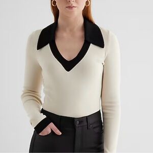 Express Colorblock Polo Sweater